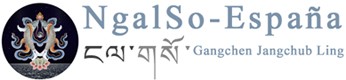 Cursos de NgalSo España